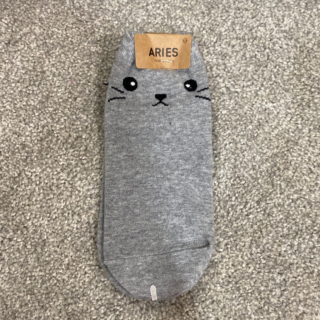 Aries Socks